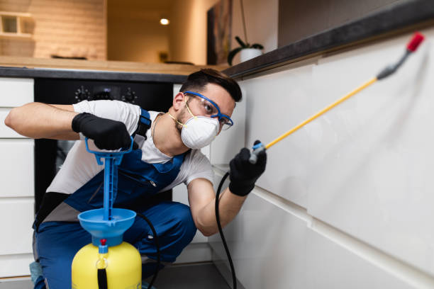 Best Affordable Pest Control Services  in Hoboken, NJ