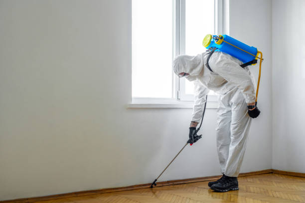 Best Affordable Pest Control Services  in Hoboken, NJ