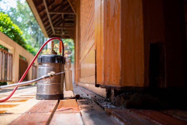 Best Pest Prevention Services  in Hoboken, NJ