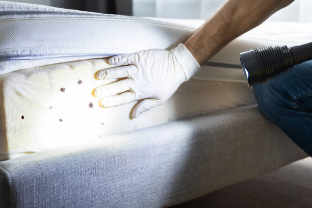 Best Cockroach Control Services  in Hoboken, NJ