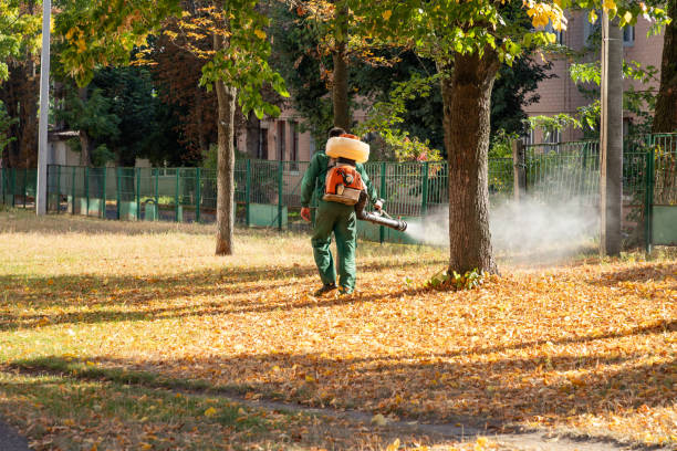 Best Bed Bug Extermination  in Hoboken, NJ