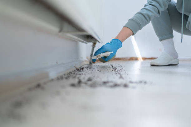 Wildlife Control Services in Hoboken, NJ